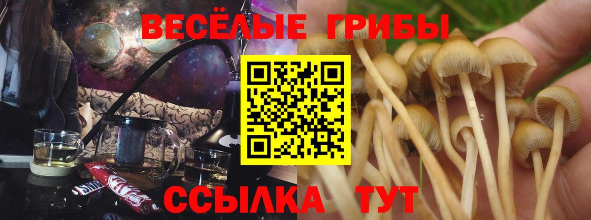 Галлюциногенные грибы мицелий  Вход с VPN  Галлюциногенные грибы ЛСД  цены   Самара 